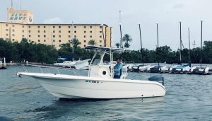 Sea Fox Boat Rental