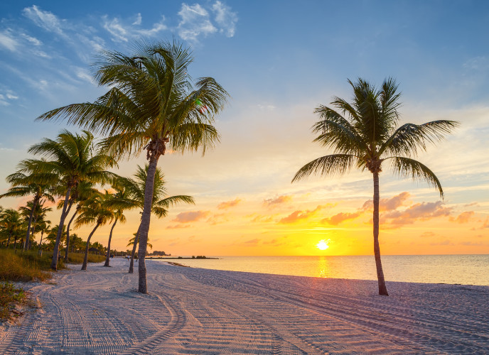 sunset palms on smathers beach