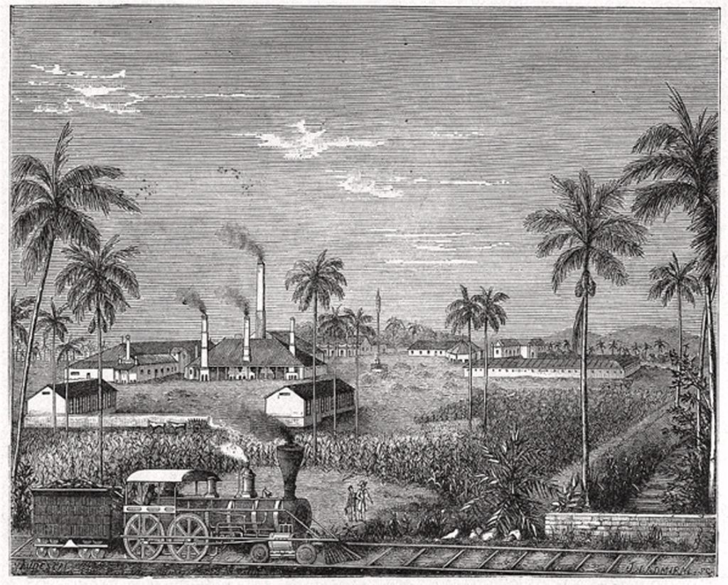 Illustration of Sugar Plantation