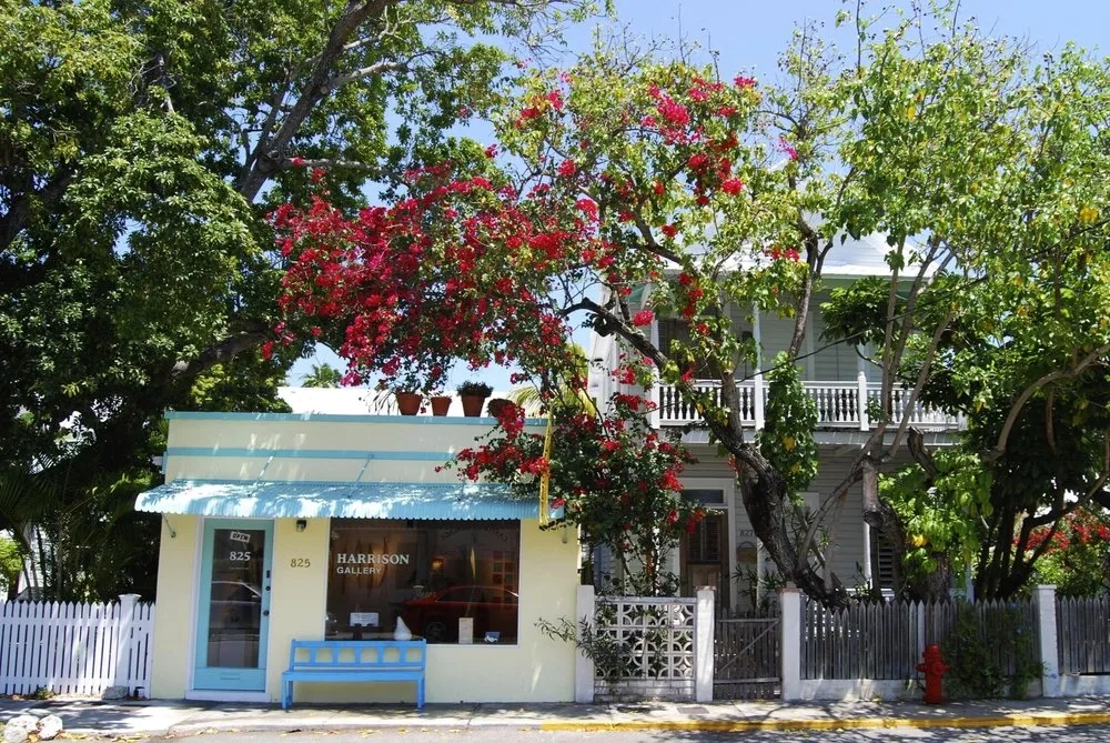 Harrison Gallery Photo
